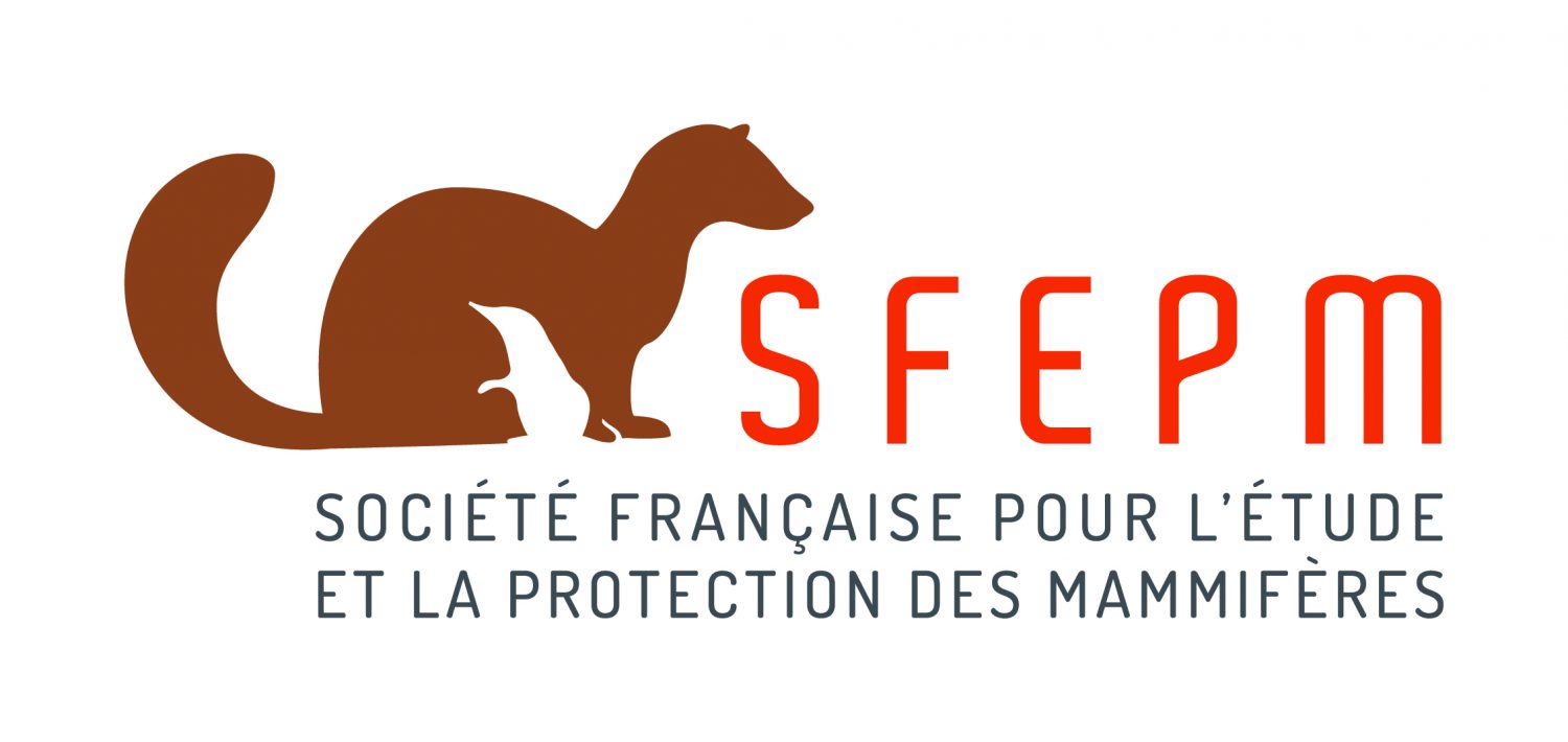 Logo SFEPM - Gifts for Change