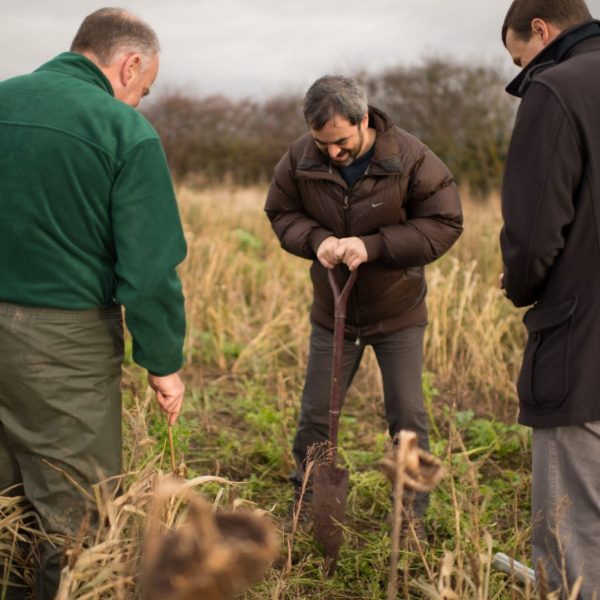 Smart-Planting-UK-reforestation-David_Rose