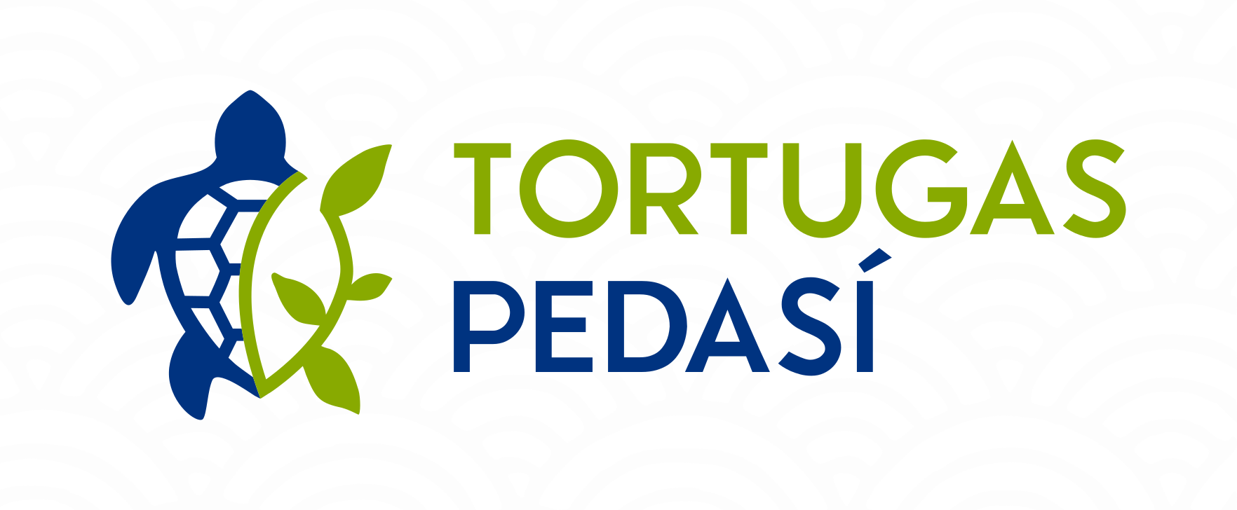 Logo Turtugas Pedasi