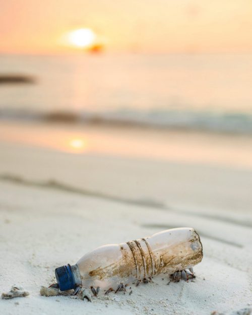 Plastique sur les plages et dans les océans