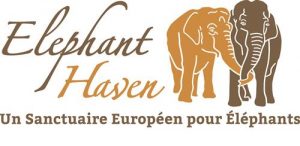 logo elephant haven