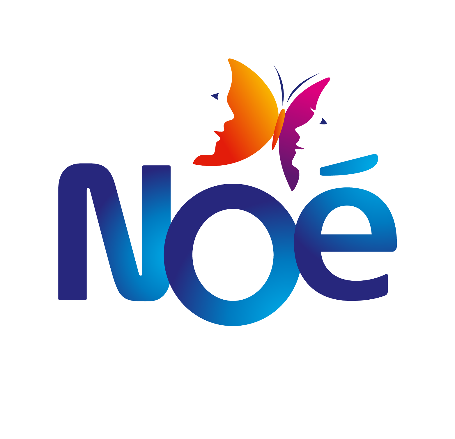 Logo noé