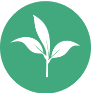 Reforestation Pictogramme