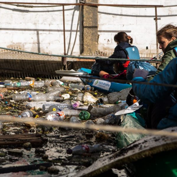 Action de dépollution de la Seine - ©Jérémie Croidieu