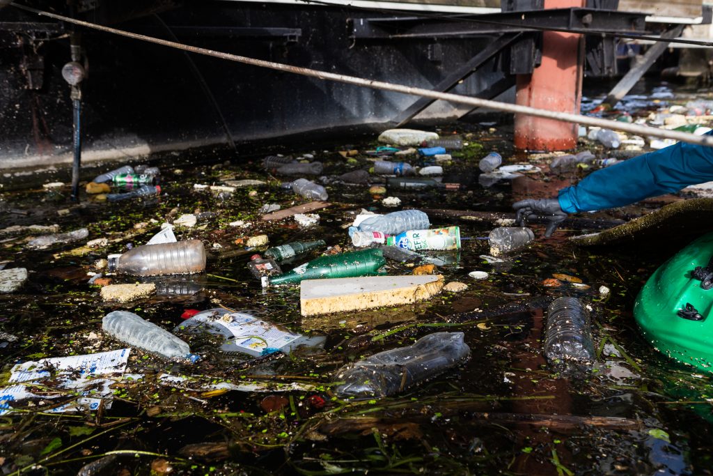 Action de dépollution de la Seine - ©Jérémie Croidieu