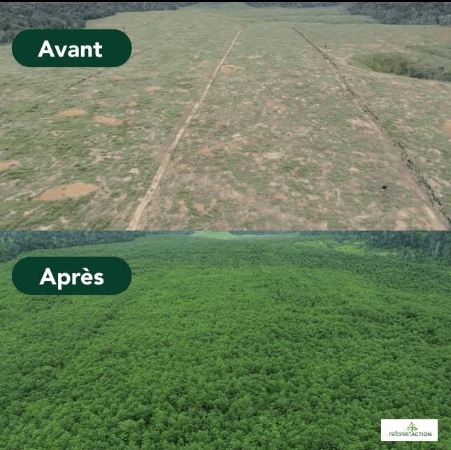 reforest'action_engagement par l'objet