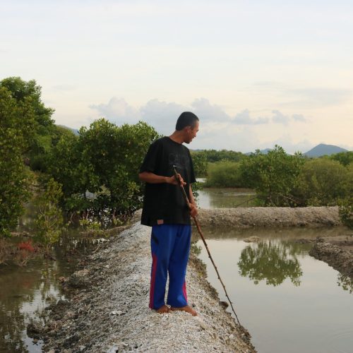 PEJARAKAN mangrove Bali