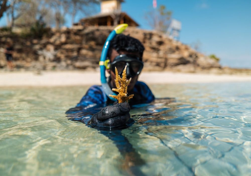 3_Bouture de corail_copyright Coral Guardian copie 2