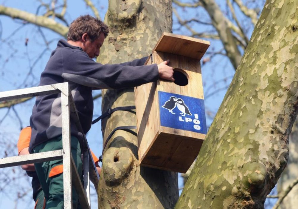 Ligue protection oiseaux - LPO