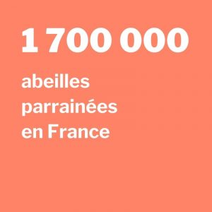 Bilan 2020