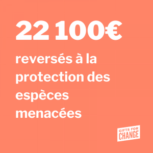 Bilan 2021 - Gifts for Change