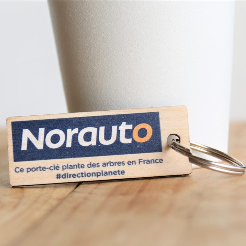PCLUPA2IS Norauto porte clés zoom ambiance 4