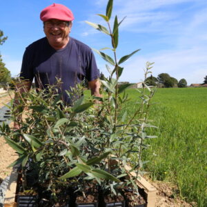 Reforestation - Gifts for Change agriculteur saaltus