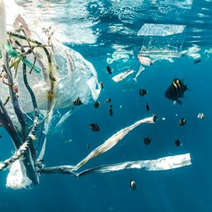 océan pollution plastique