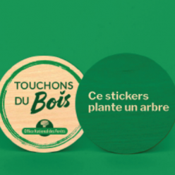 stickers_touchons du bois